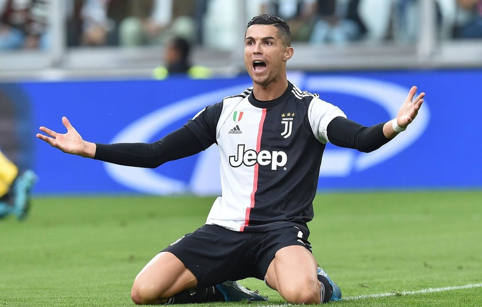 将成功卫冕 将成功卫冕