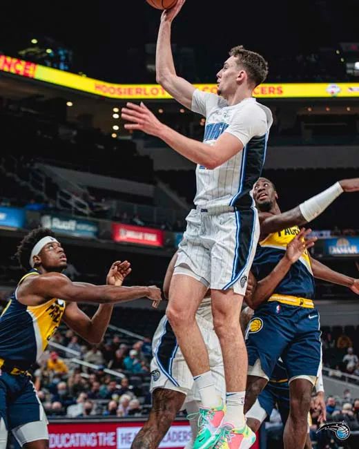 侵略性与防 侵略性与防