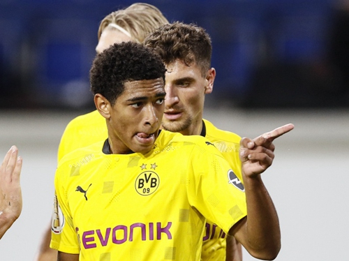 稳健的组织 稳健的组织